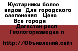 Кустарники более 100 видов. Для городского озеленения › Цена ­ 70 - Все города  »    . Дагестан респ.,Геологоразведка п.